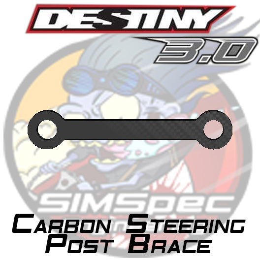 Destiny 3.0 Steering Post Brace